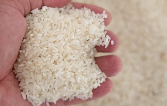 P50 price cap sa imported bigas, aprub kay PBBM