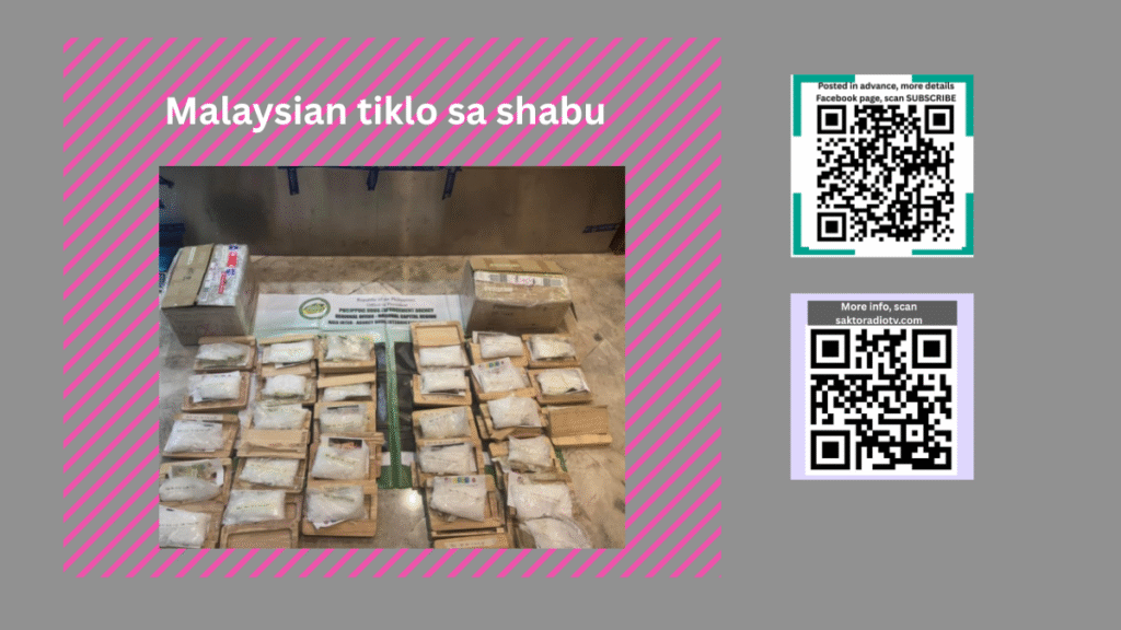 Malaysian huli sa P102M shabu