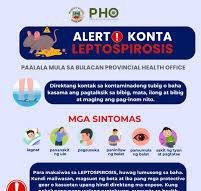 KASO NG LEPTOSPIROSIS SA BULACAN TUMAAS