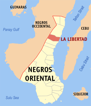 Bgy. tserman, patay sa pamamaril