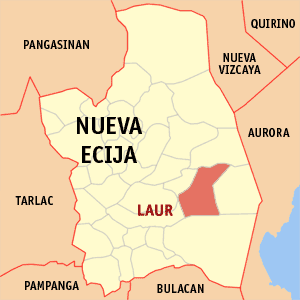 KUNSUMIDONG AMA PINATAY SA SAKAL ANG ANAK